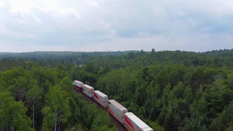 Vertikale-Verfolgung,-Die-Eine-Große-Abfolge-Von-Waggons-Mitten-Im-Wald-Aufzeichnet