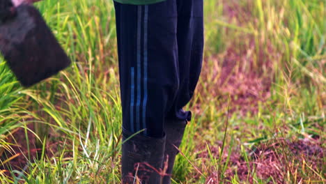 Viejo-Granjero-Asiático-Con-Azada-Desmalezando-El-Campo-De-Plantaciones-De-Arroz-En-Tailandia