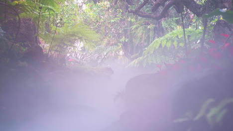 Tropical-jungle-paradise-with-flowers,-trees-and-mist-shrouding-ground
