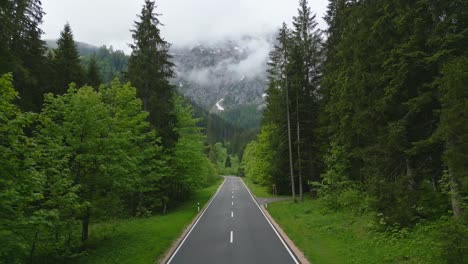Cinematic-shot-in-the-alps-of-a-road-through-a-forest,-with-a-mountain-backdrop
