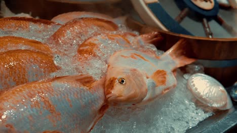 Fresh-fish-being-cooled-in-ice-at-a-street-night-market-in-Bangkok,-Thailand