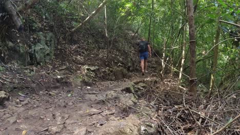 Young-man-in-shorts-and-flipflops-walks-up-stone-path-in-green-jungle