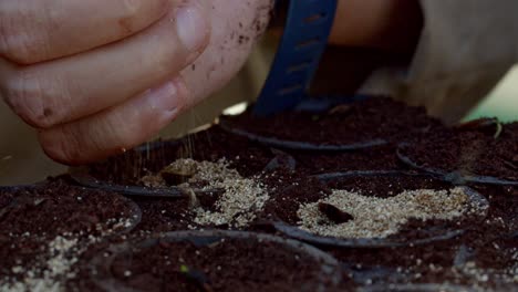 Verter-Tierra-En-Macetas,-Cerrar-La-Mano,-Sembrar-Semillas-En-Macetas-De-Tierra,-Granjero-Botánico-En-Agricultura