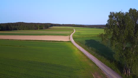 Beautiful-aerial-top-view-flight-tree-path-austria-Europe-field-meadow-road-sunset-summer-23