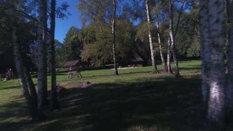 Ovejas-En-Un-Recinto-Cerca-De-Un-Histórico-Granero-De-Madera-En-Un-Museo-Polaco-Al-Aire-Libre-Durante-El-Verano