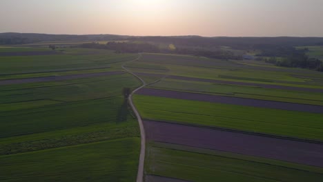 Smooth-aerial-top-view-flight-hunting-booth-austria-Europe-field-meadow-road-sunset-summer-23