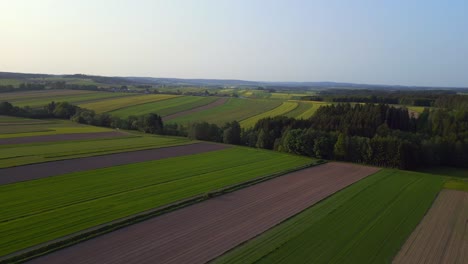 Dramatic-aerial-top-view-flight-hunting-booth-austria-Europe-field-meadow-road-sunset-summer-23