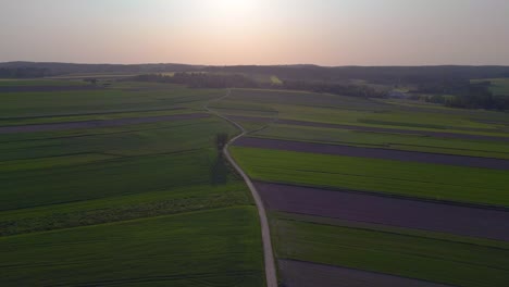Amazing-aerial-top-view-flight-hunting-booth-austria-Europe-field-meadow-road-sunset-summer-23