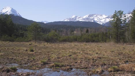 Frühlingslandschaft-In-Österreich,-Seefeld