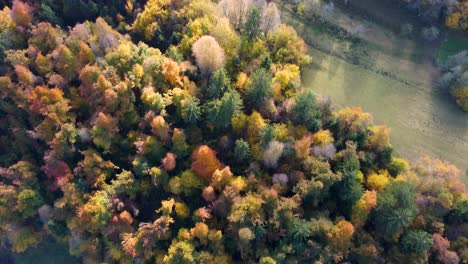 A-breathtaking-top-down-drone-view-captures-the-vibrant-autumn-colors-of-trees,-fields,-and-forest,-creating-a-picturesque-landscape