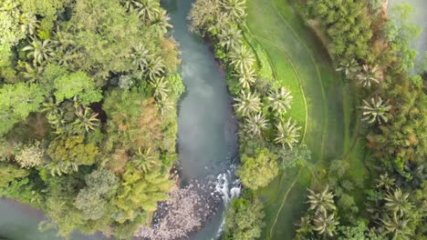 Overhead-drone-shot-of-curve-of-riverbank-with-turquoise-water-stream-with-trees-on-the-side---4K-aerial-view