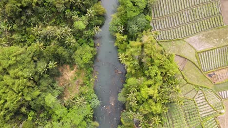 Aerial-top-down-view-river-in-tropical-country
