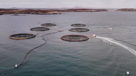 Tracking-drone-shot-of-a-fishing-boat-as-it-drives-through-a-fish-farm