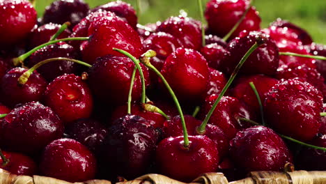 Fresh,-ripe,-juicy-cherries-rotate.-Red-cherry-clockwise