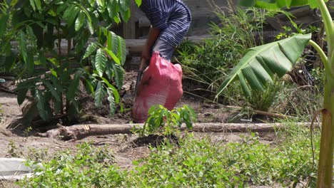 A-farmer-man-working-on-his-plantation-on-a-farm-in-poor-area