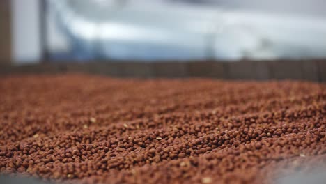 Selective-focus,-very-close-up-scene,-in-a-peanut-butter-factory-an-operator-is-turning-raw-best-quality-peanut-kernels-through-equipment-heated-to-high-degree-celsius