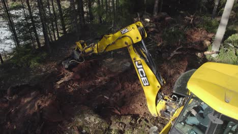 JCB-tractor-working-in-forest,-taking-out-tree-roots-from-sandy-ground-and-putting-them-into-pile
