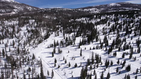 Drohnenaufnahme-Einer-Sonnigen-Winterlandschaft-Im-Ländlichen-Colorado,-USA,-Kiefern-Und-Schneebedeckten-Hügeln