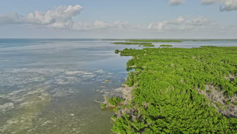Key-West-Florida-Aerial-v29-flyover-and-around-Mud-keys-channels-capturing-lush-mangrove-covered-island-with-trees-and-shrubs-growing-in-saltwater-environment---Shot-with-Mavic-3-Cine---February-2023