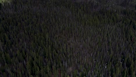 A-High--flying-drone-shot-of-Mt