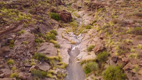 Hidden-beauty-of-Arco-de-Tajao-Tenerife,-dry-riverbed-landscape