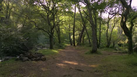 Camino-Cerca-De-Las-Orillas-De-Los-Ríos-En-El-Parque-Natural-De-Refugio-De-Verdes,-A-Coruña,-España
