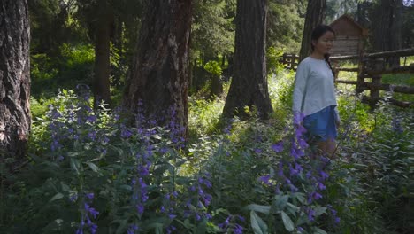 Asian-woman-walks-exploring-peaceful-meadow-of-purple-lavender-wildflowers-along-old-rustic-wooden-cabin,-forest-scene
