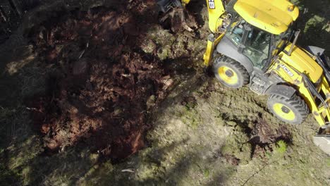 JCB-tractor-working-in-forest,-taking-out-huge-tree-roots-that-finally-come-out-of-ground