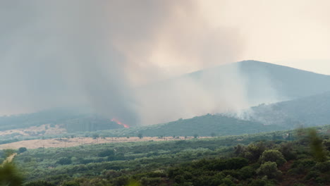 Timelapse-Incendio-Forestal-Humo-Gran-Cepillo-Fuego-Zoom-Tiro-Grecia