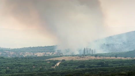 4k-Incendio-Forestal-Timelapse-Video-Humo-Gran-Maleza-Fuego-Tiro-Cercano-Grecia-Verano