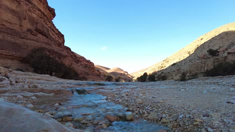 a-river-in-the-middle-of-the-sahara-desert-Algeria-Biskra