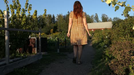 Woman-walking-in-garden-to-country-house-at-sunset,-countryside