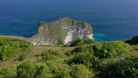 Engage-your-audience-with-the-allure-of-Nusa-Penida's-coastline,-Discover-Diamond-Beach-With-its-ivory-sands,-crystalline-waters,-iconic-rock-formations,-and-true-tropical-paradise