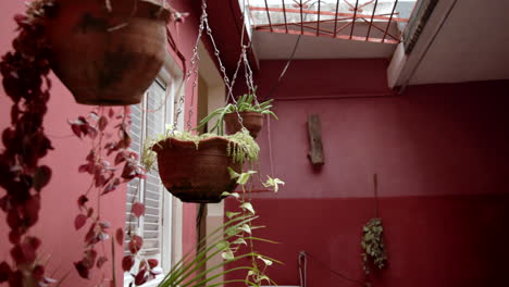 Hängender-Gartenblumentopf-Im-Flur-Mit-Roten-Wänden-In-Kuba