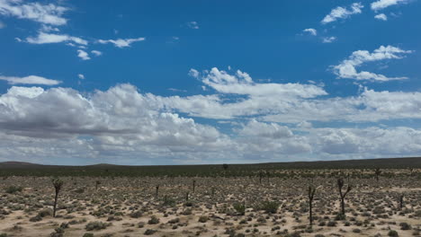 Flug-über-Einen-Joshua-Baumwald-In-Der-Mojave-Wüste