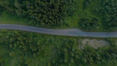 Aerial-view,-directly-over-a-winding-country-road-with-trees-on-either-side