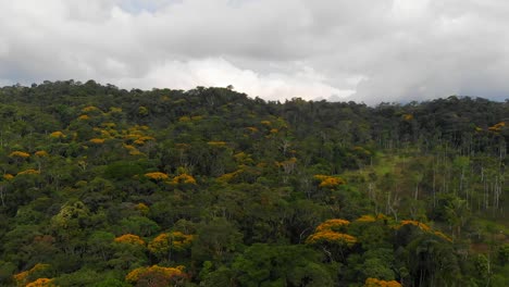 Una-Visión-De-Pájaro-De-La-Amazonia-Ecuatoriana