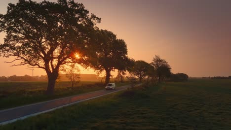 Road-with-old-oak-trees-and-a-passenger-car-passing-towards-camera,-in-the-morning-sun