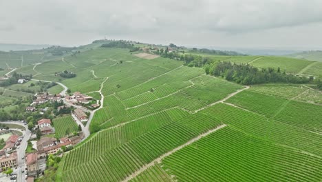 Beautiful-Italien-vineyards