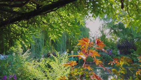 Erleben-Sie-Einen-Atemberaubenden-Blick-Auf-Den-Bezaubernden-Garten-Von-Claude-Monets-Haus-Oberhalb-Der-Baumgrenze,-Während-Die-Gäste-Seine-Atemberaubende-Schönheit-In-Giverny,-Frankreich,-Bestaunen