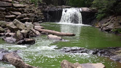 Ein-Kleiner-Verschmutzter-Wasserfall-Im-Wald,-Dessen-Wasser-Ganz-Grün-Gefärbt-Ist