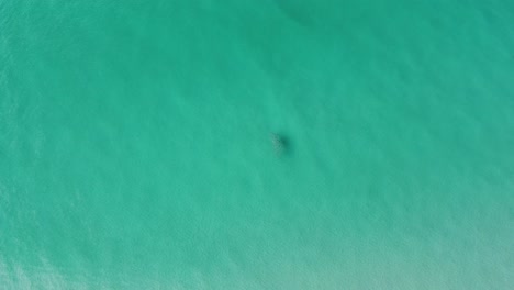 Miami,-Florida,-Tropische-Strandantenne-Mit-Türkisfarbenem-Wasser