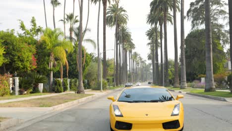 Driving-under-Palm-Trees-of-Beverly-Hills,-California