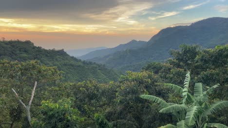 Sonnenuntergang-Im-Kolumbianischen-Wilden-Regenwald