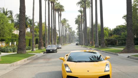 Fahren-Eines-Schicken-Sportwagens,-Beverly-Hills,-Palmen,-Kalifornien,-USA