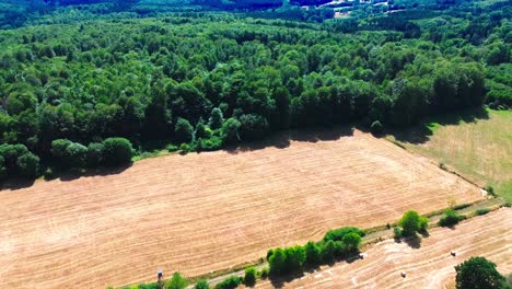 aerial-drone-shot-over-farmland-and-forest-in-summer,-4k