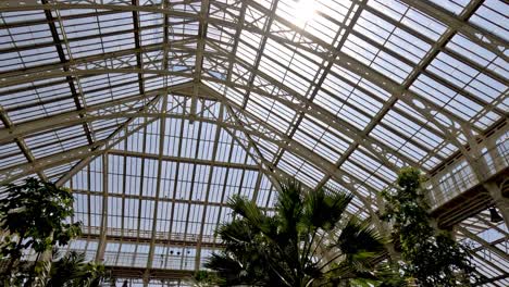 Inside-View-Looking-Up-At-Kew-Gardens-Temperate-House-Roof-Ceiling