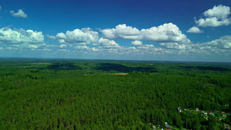 Vibrant-forest-and-blue-sky-with-fluffy-clouds,-aerial-view