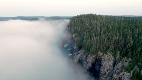Malerische-Aussicht-Nach-Der-Morgendämmerung-Auf-Den-Nebel,-Der-Die-Küstenwälder-Von-Maine-Bedeckt
