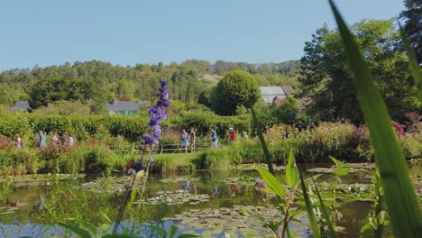 A-view-of-Water-Lilies-in-Claude-Monet's-Pond-while-visitors-enjoy-a-majestic-view,-Giverny,-France